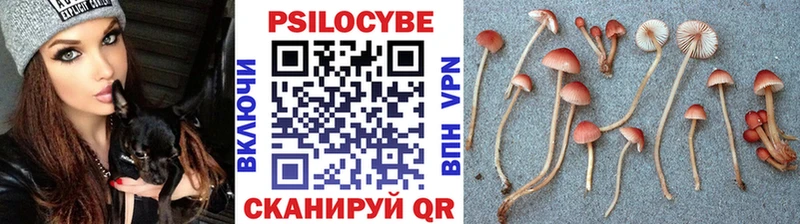 Псилоцибиновые грибы прущие грибы  купить   Сасово 