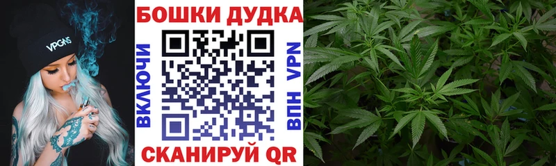 Бошки марихуана White Widow  закладка  Сасово 